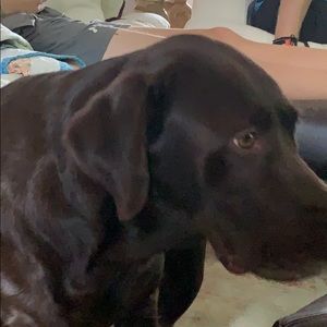 Meet your Posher, Kathleen